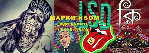 трава Иннополис