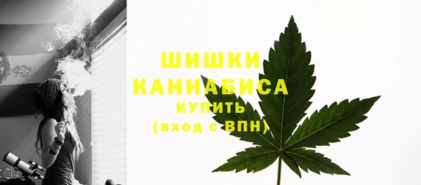 трава Иннополис