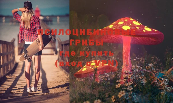 MDMA Инсар