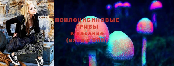 трава Иннополис