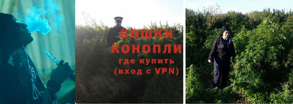 марихуана Инта