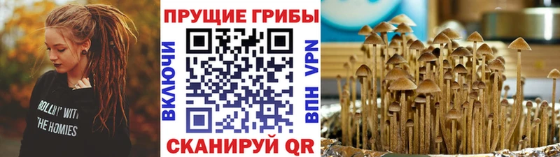 Галлюциногенные грибы мицелий  Старая Купавна 